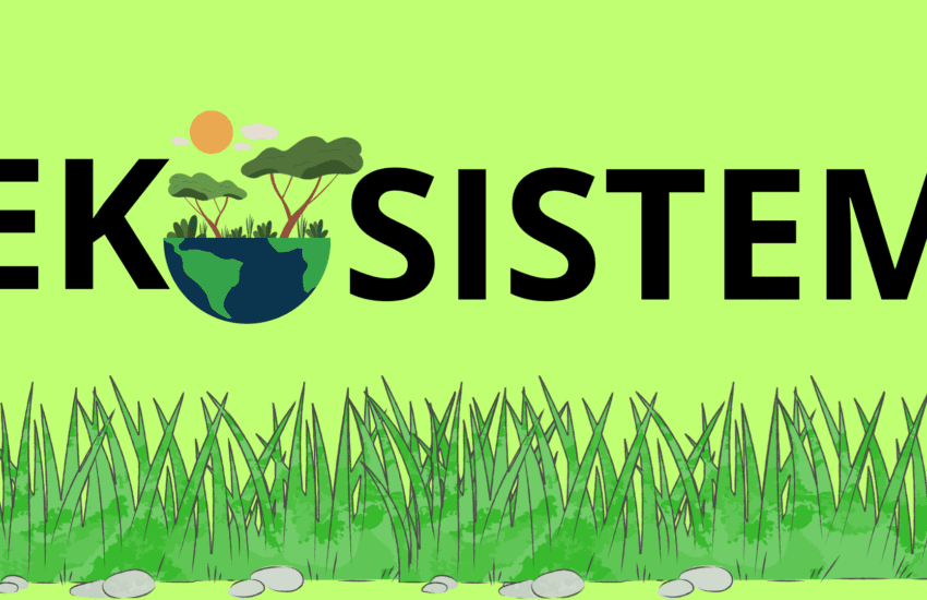 Ekosistem